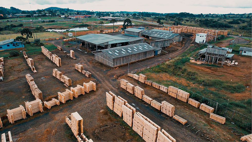 Righez Lumber