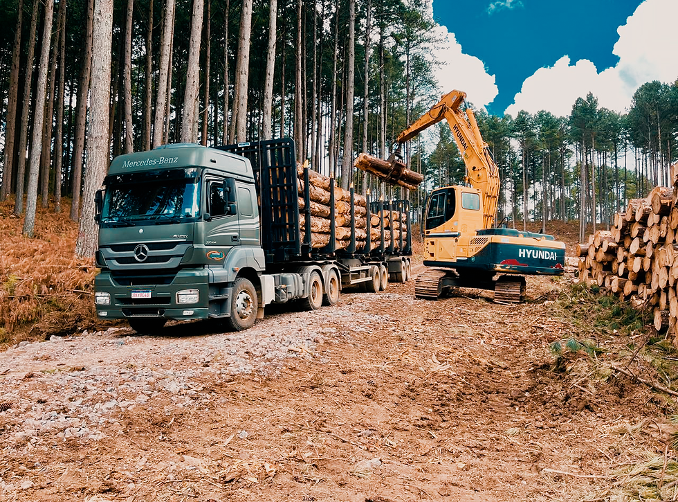 Righez Lumber