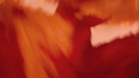 Music Video GIF by Taylor Swift.gif