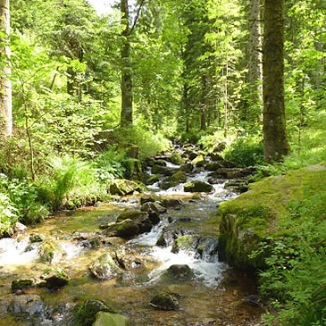 Patrimoine naturel, faune et flore, sentiers nature