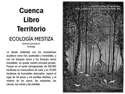 2. LABRAR A CORDEL[1]: Humedales y Agroecosistemas de megadiversidad, vocación del Valle del río Cauca