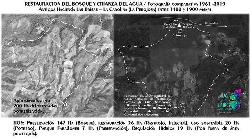 bosque La Perojosa.jpg