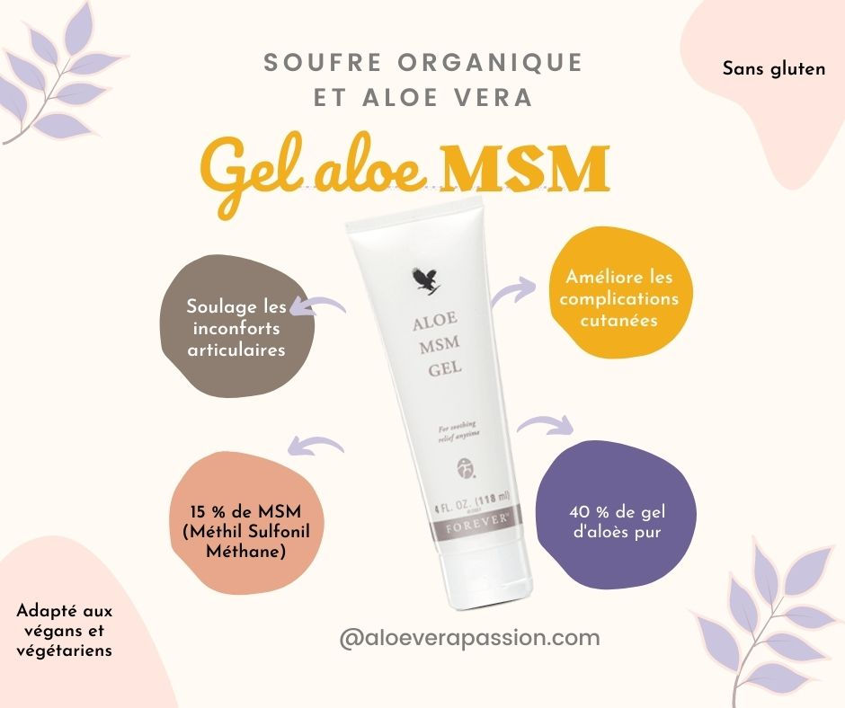 Gel d'Aloe MSM