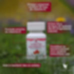 Forever Absorbent D | Vitamines D