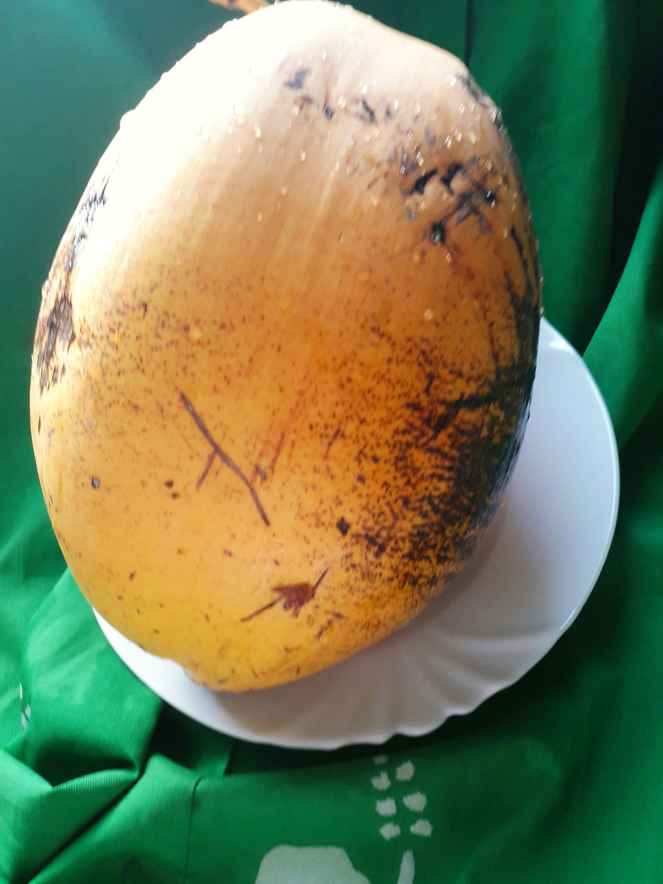 coco des Antilles