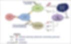 Targets in Biotherapy of Rheumatoid arthritis