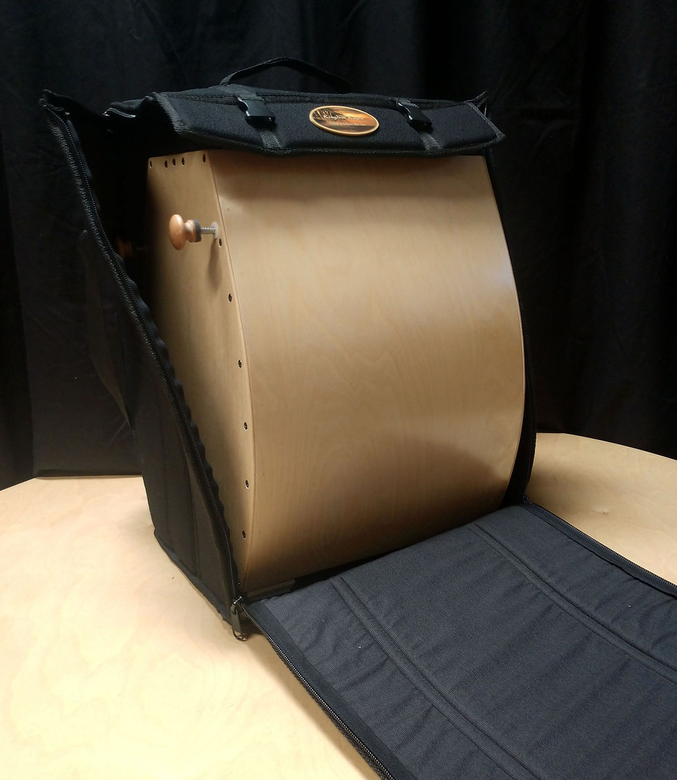 Thumbnail: CUSTOM FIT PADDED DRUM BAG