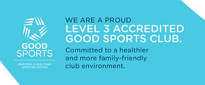 Good Sports Level 3.jpg