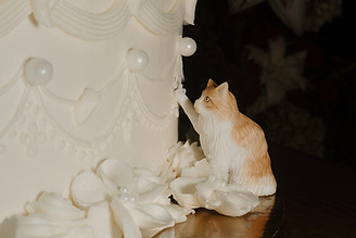 KELLY & BRANDON WEDDING_GABY BOLIVAR-1414_websize.jpg