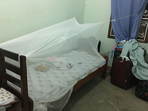 Mosquito Net