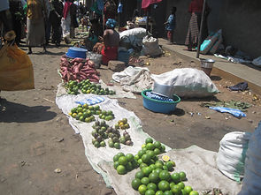 Partial Micro Loan