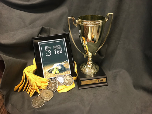 Trophée, Prix, De Baseball Des Prix PNG - Trophée, Prix, De Baseball Trophée, Prix, De Baseball Des Prix PNG - Trophée, Prix, De Baseball