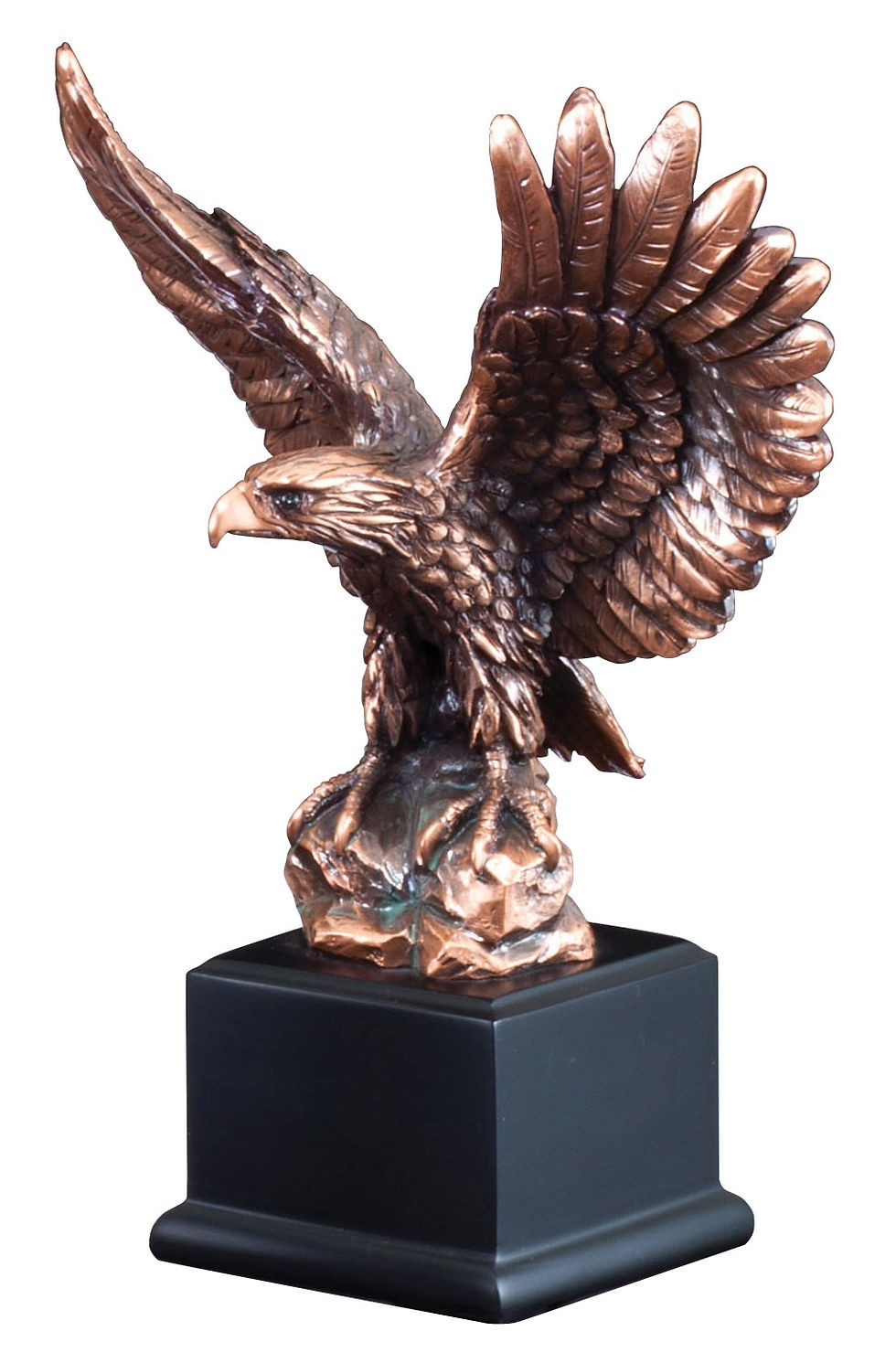 Trophée - Autres - Aigle