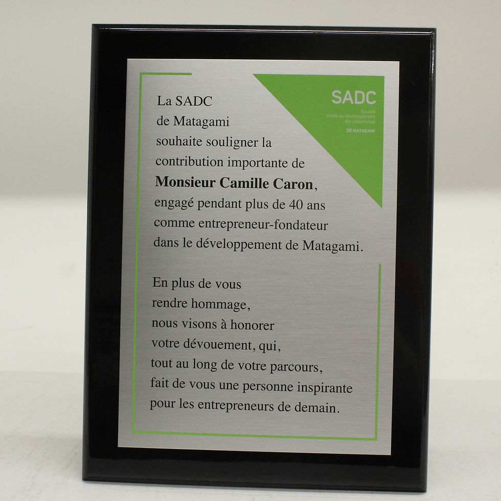 Thumbnail: Bespoke - Acrylic Trophy - SADC