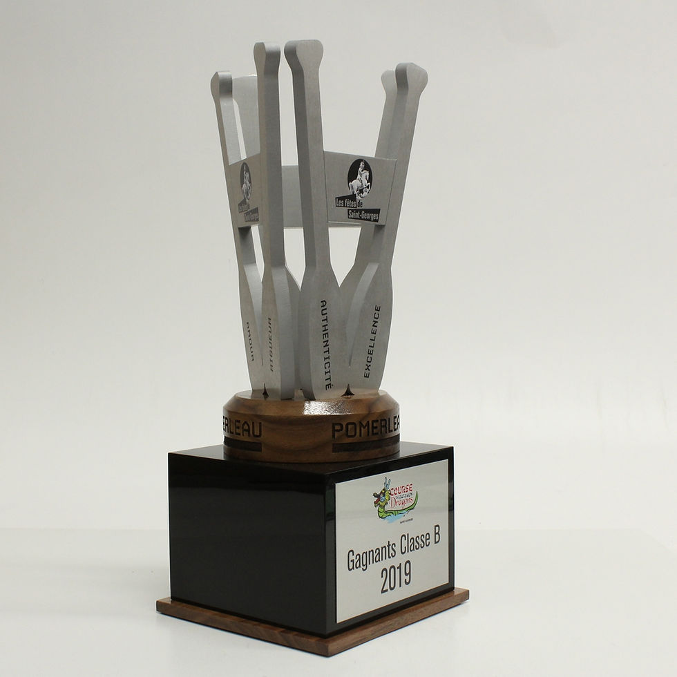 Miniature : Sur mesure - Trophée Coupe - Pomerleau dragon