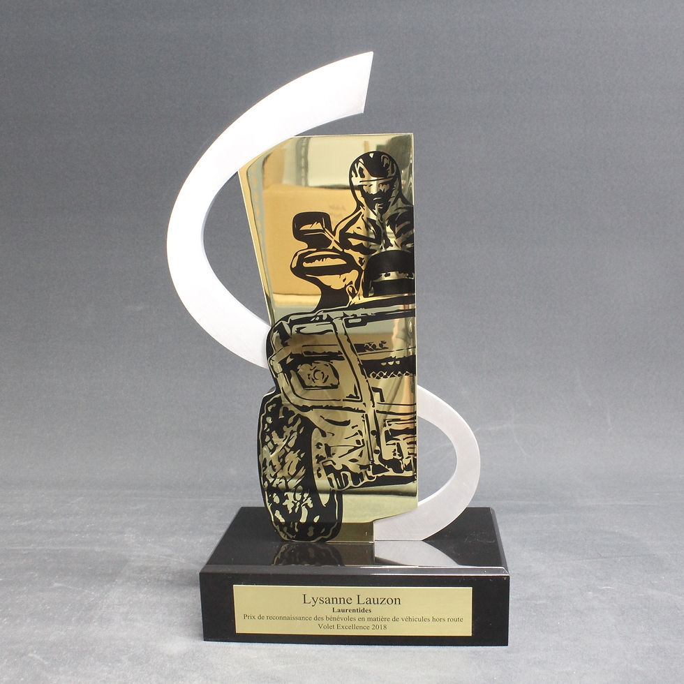 Thumbnail: Made to measure - Acrylic and metal trophy - MTQ