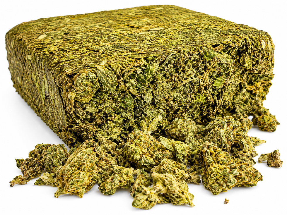colombia gold prensado premium com flores douradas resinadas e tricomas brilhantes sobre fundo branco