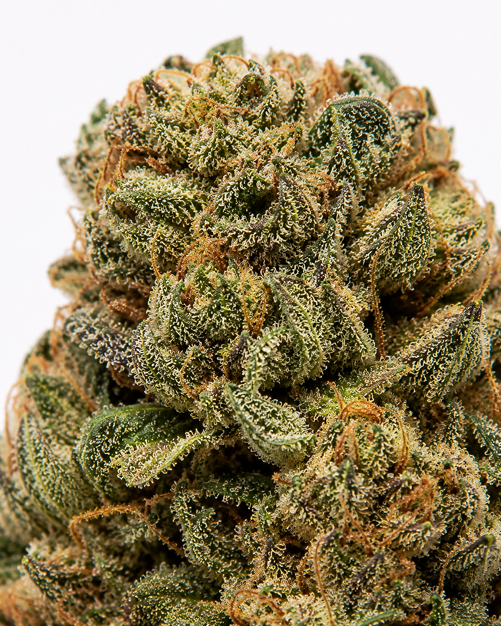 como identificar flor cannabis indica compacta