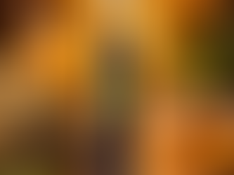 Comprar Caneta THC: Guia Completo para Escolher a Melhor em 2026