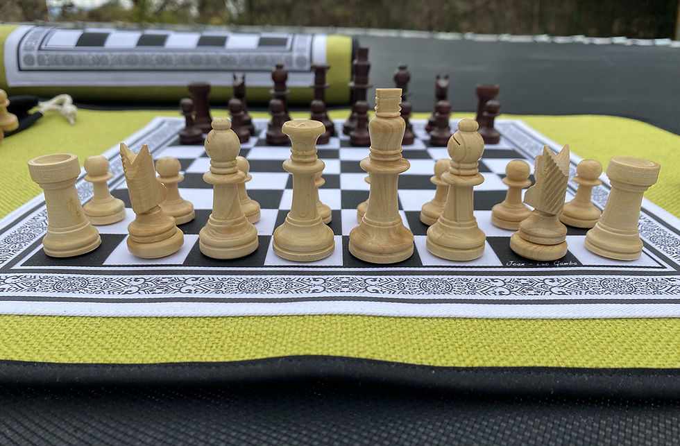 Thumbnail: Magnetic chess game "Pondicherry"