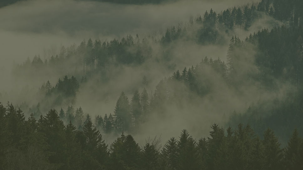 Hintergrund Startseite 01.jpg