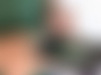 IA AJUDA TUTORES A REENCONTRAR ANIMAIS DOMÉSTICOS PERDIDOS NOS EUA