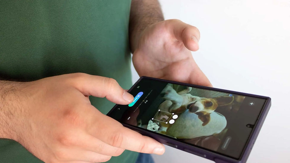 IA AJUDA TUTORES A REENCONTRAR ANIMAIS DOMÉSTICOS PERDIDOS NOS EUA