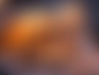 Hungria instala abrigos térmicos para proteger cães de rua durante o inverno