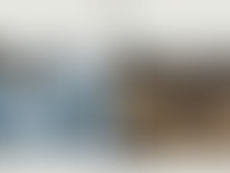 Pesquisa brasileira propõe alternativa ao abate e pode ajudar a frear risco de extinção dos jumentos no Nordeste