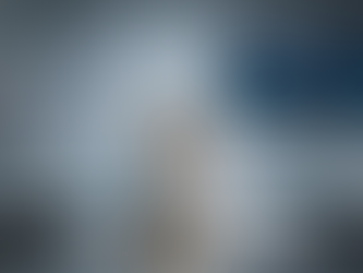 Estudo aponta que gatos podem contribuir para avanços na pesquisa contra o câncer humano