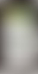 『Hi-Fi Un!corn 2026 ASIA LIVEHOUSE TOUR -FIRST MOVE-』オフィシャルグッズ一覧が公開！