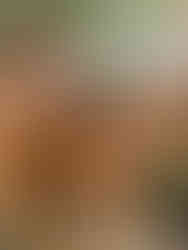 Wahiba Sands Oman Roadtrip