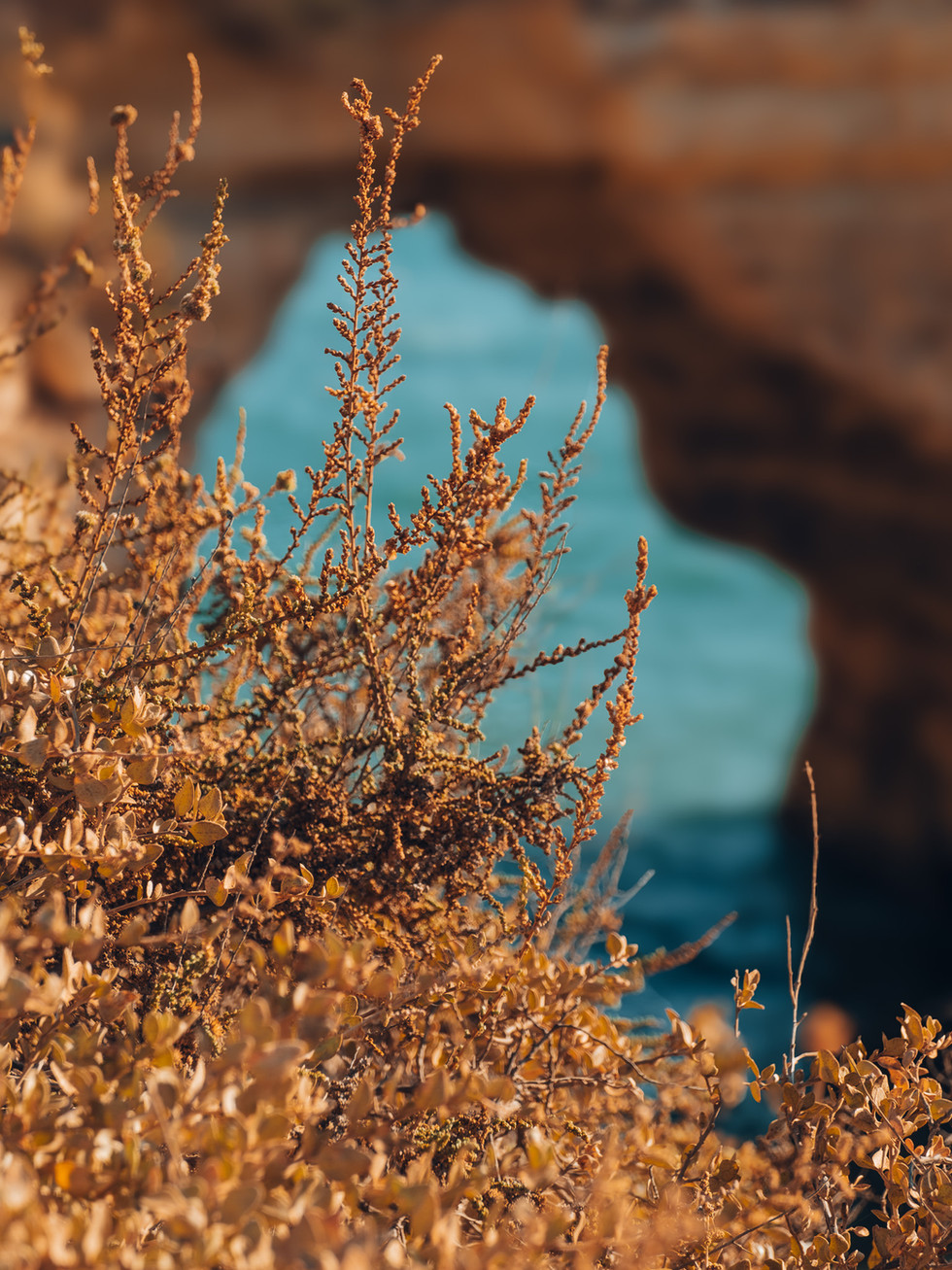 Arco de Albandeira / Algarve
