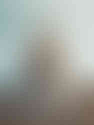 Basílica da Estrela / Lissabon