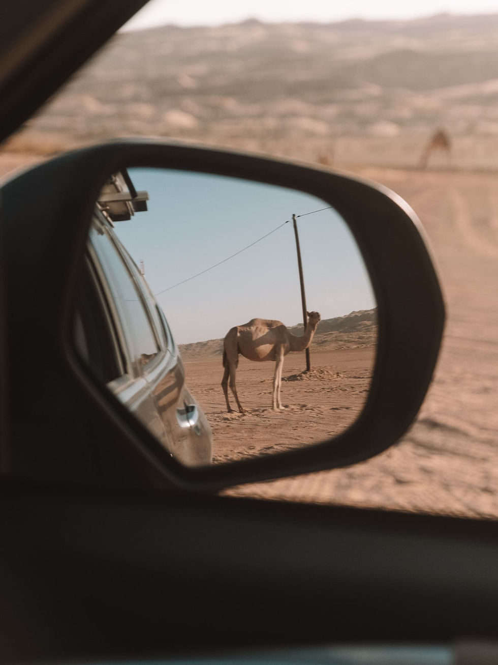 Wahiba Sands / Oman Roadtrip