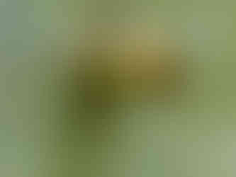 Misfat al Abriyyin Oman Roadtrip