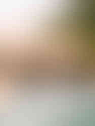 Thousand Nights Camp Oman Campingspot