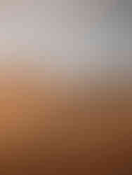 Wahiba Sands Oman Roadtrip