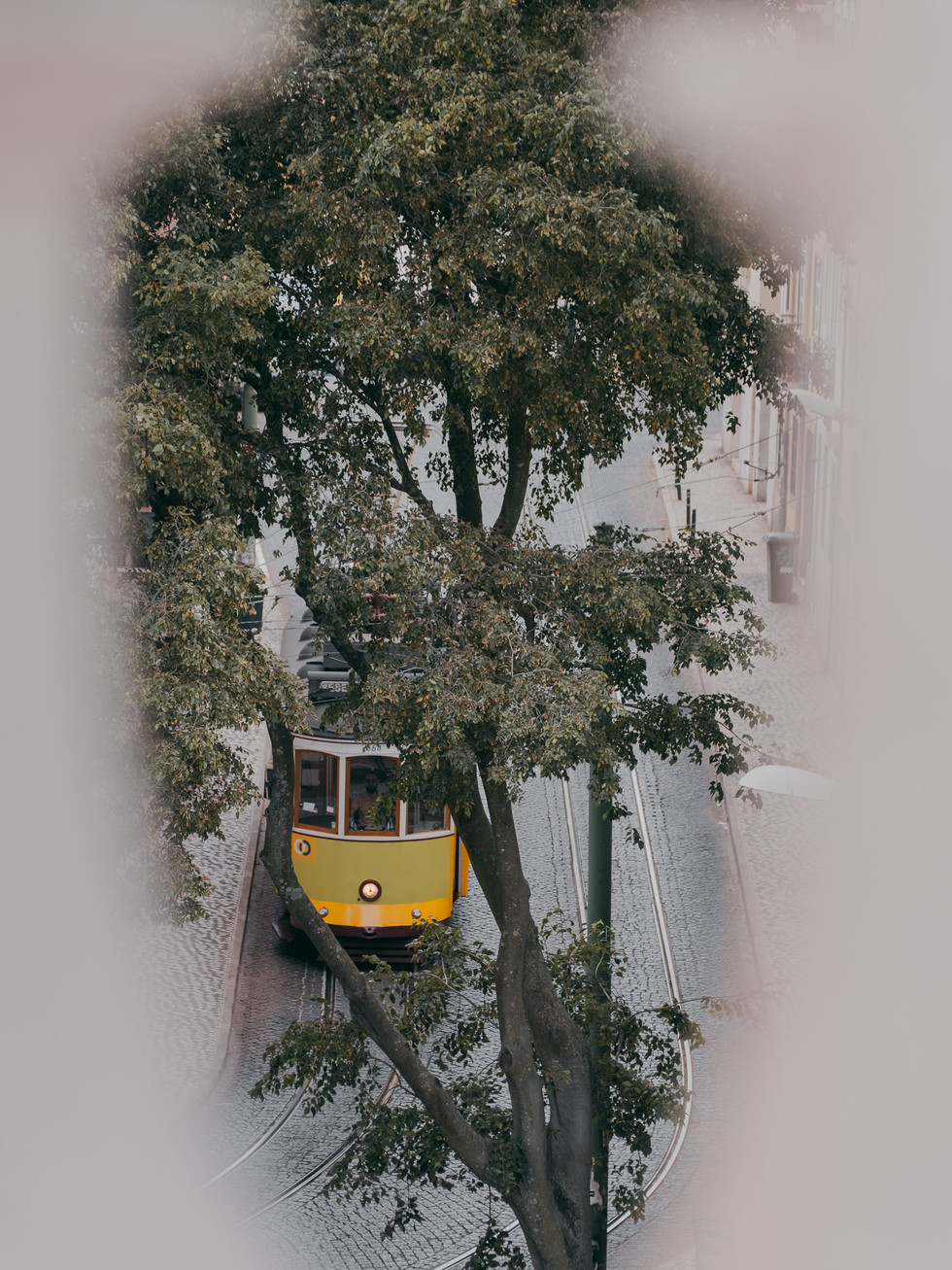 Basílica da Estrela / Lissabon