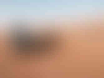 Wahiba Sands / Oman Roadtrip