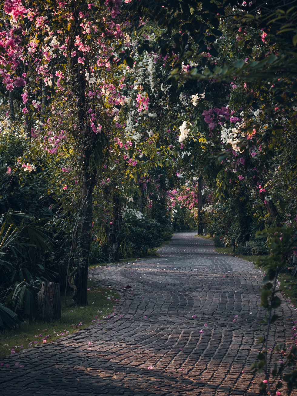 Blick auf die verwunschenen, blumengesäumten Wege des "Ocean Bay Phu Quoc Resort and Spa´s"