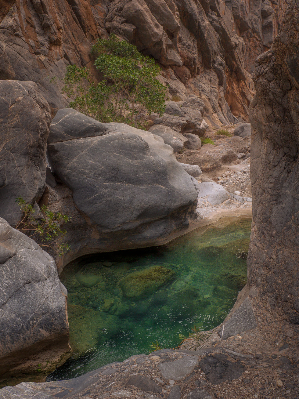 Wadi Qurai / Wadis Oman