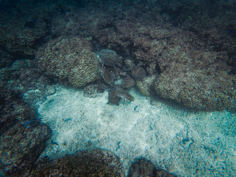 Daymaniyat Islands