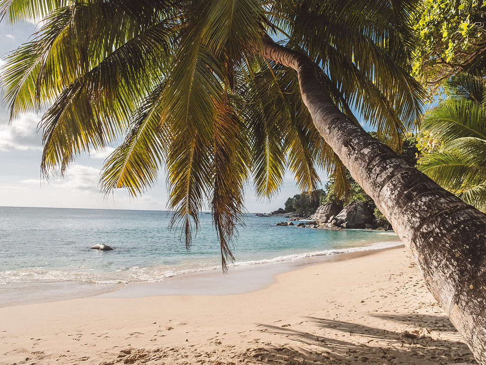 Seychellen Sunset Beach