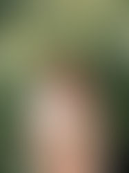 Trauminsel Sansibar - Eine afrikanische Perle im indischen Ozean