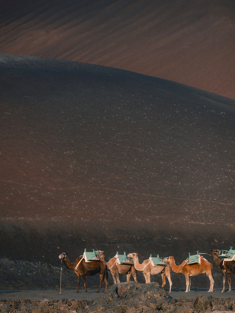 Lanzarote Winter Urlaub Erfahrungen