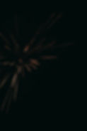 joshua-rodriguez-URPG9yQkxQ4-unsplash.jpg