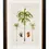 Thumbnail: c.1843 Studies of South American Palm Trees