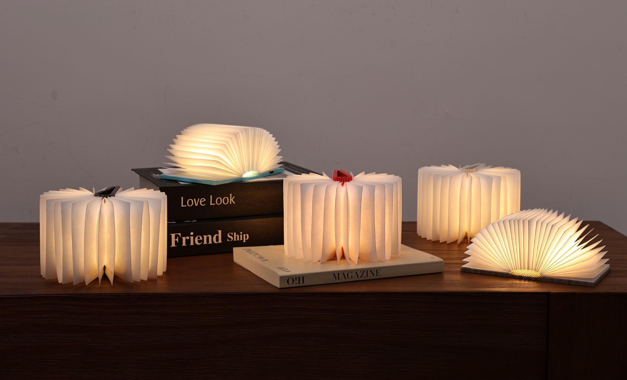 Super Mini Smart Book Light - Palm Edition