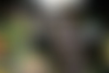 I Conjured A Fake Husband And Now I'm About To Get Caught !